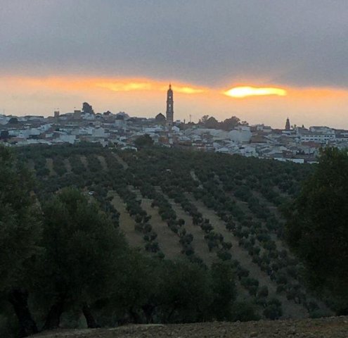 Vista paisajista (5)